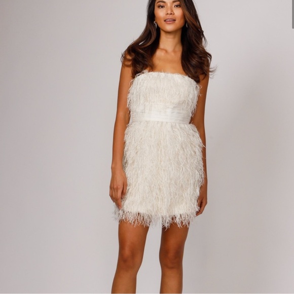 JAYGODFREY Dresses & Skirts - Jay Godfrey Feather Dress